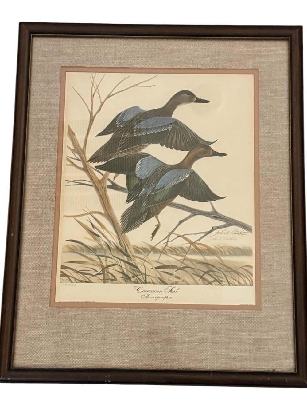 🦆VTG 70s John Ruthven Mallard Duck Signed Wildlife Framed Art #168/2000